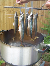 Cold smoked mackerel